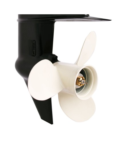 Лодочный мотор Parsun F9.8BML