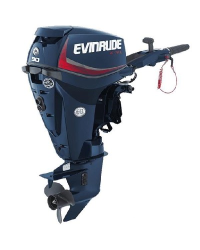 Лодочный мотор Evinrude E30 DPL