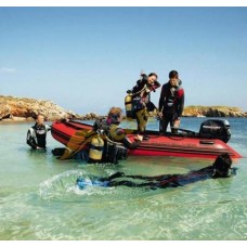 Лодочный мотор Mercury F25M EFI