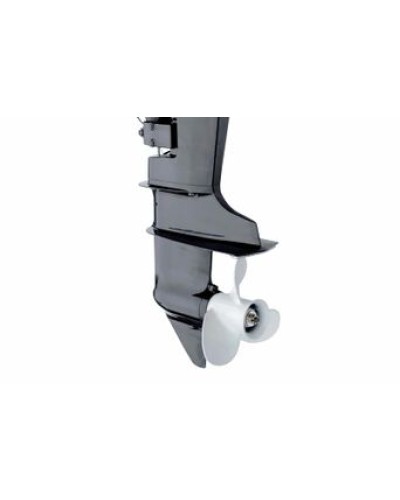 Лодочный мотор Parsun T15BMS PRO DC