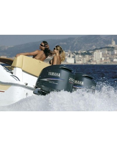 Лодочный мотор Yamaha F250AETX