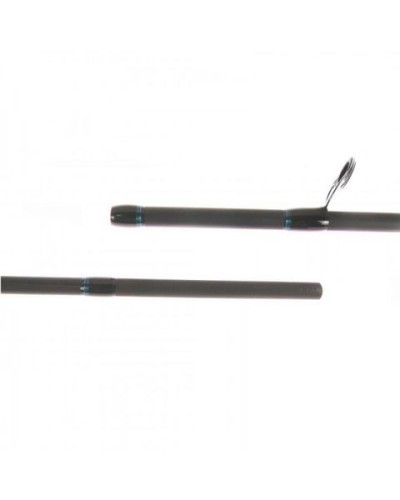 Спиннинг Favorite Cobalt CBL-1002H 3.0 m 20-50 g Mod.Fast (1693.02.43)