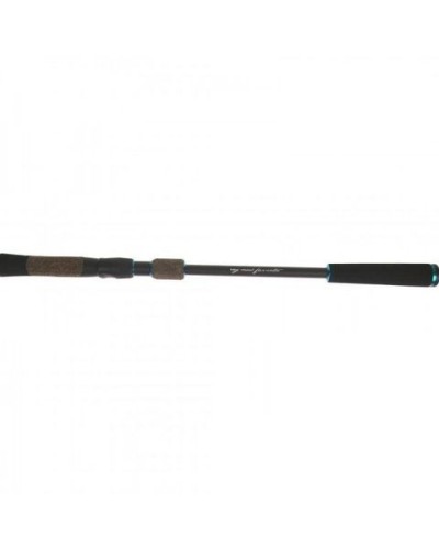 Спиннинг Favorite Cobalt CBL-1002H 3.0 m 20-50 g Mod.Fast (1693.02.43)