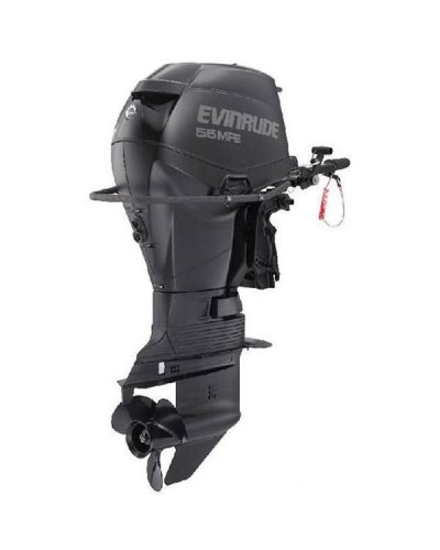 Лодочный мотор Evinrude E55 MRL
