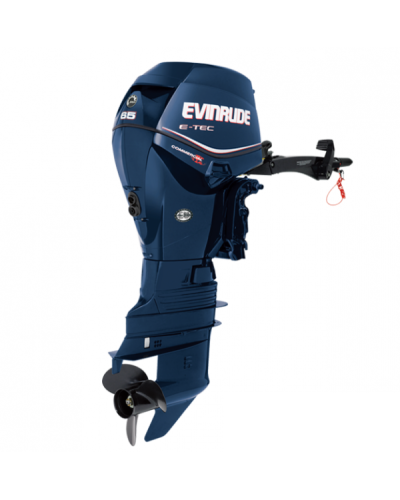 Лодочный мотор Evinrude E65 WDRL