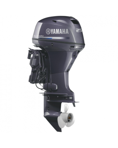 Лодочный мотор Yamaha FT25FETL