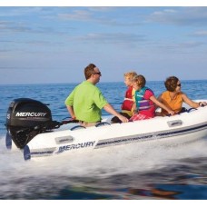 Лодочный мотор Mercury F25 ELPT EFI