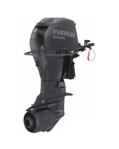 Лодочный мотор Evinrude E55 MJRL