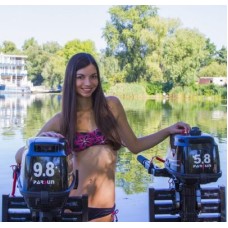 Лодочный мотор Parsun TC5.8BMS