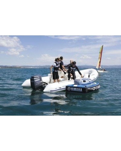 Лодочный мотор Yamaha F100DETL