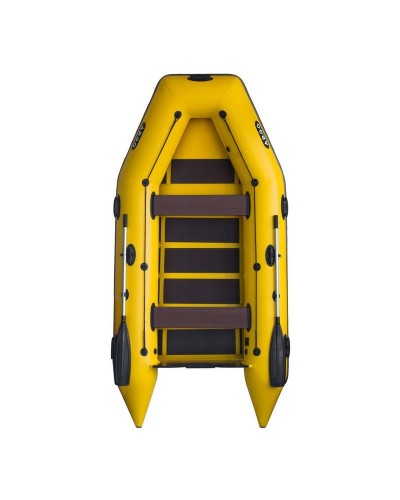 Надувная лодка Argo АM-310